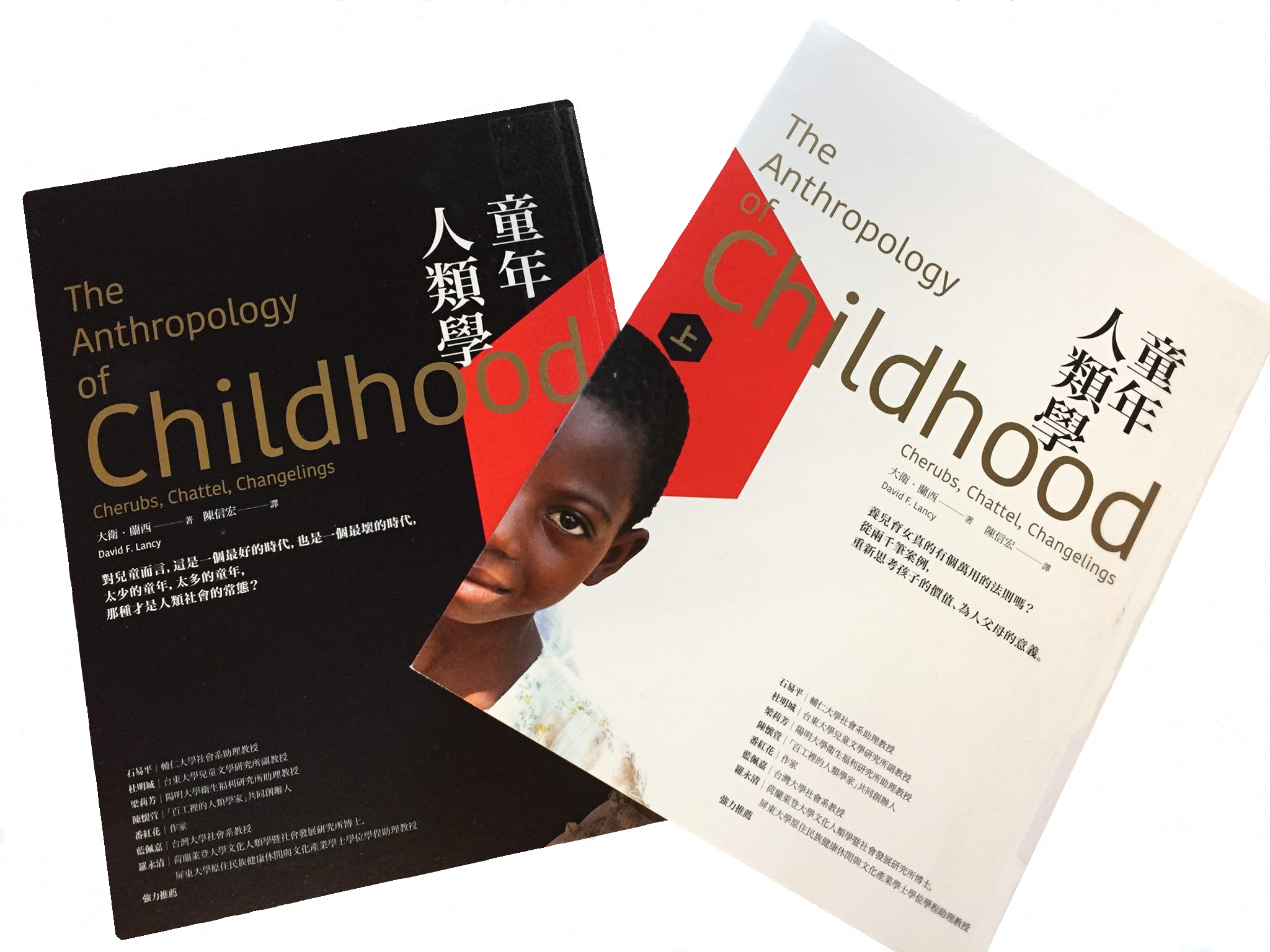 The Anthropology of Childhood Chinese Edition